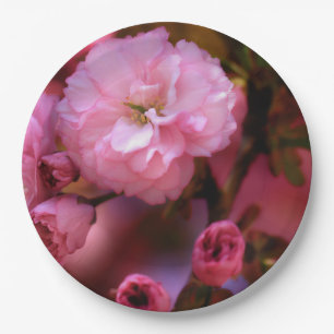 Lovely Spring Pink Cherry Blossoms Paper Plate