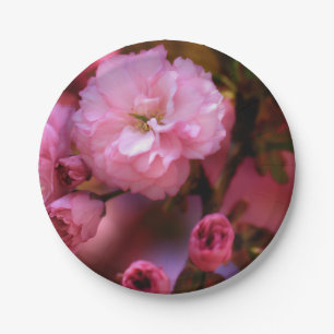 Lovely Spring Pink Cherry Blossoms Paper Plate
