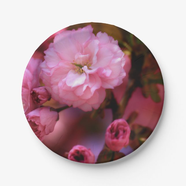 Lovely Spring Pink Cherry Blossoms Paper Plate (Front)