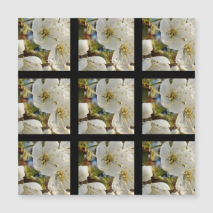 Lovely Springflower Grid