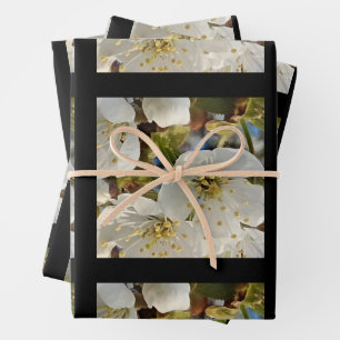 Lovely Springflower Grid Wrapping Paper Sheet