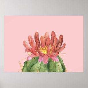 Lovely Succulent Flower Poster