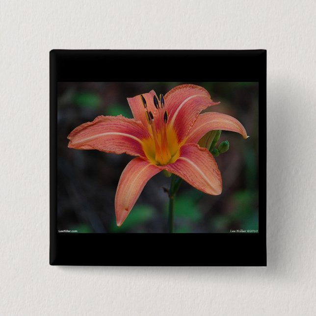 Lovely Tawny Daylily Apparel and Gifts 15 Cm Square Badge (Front)