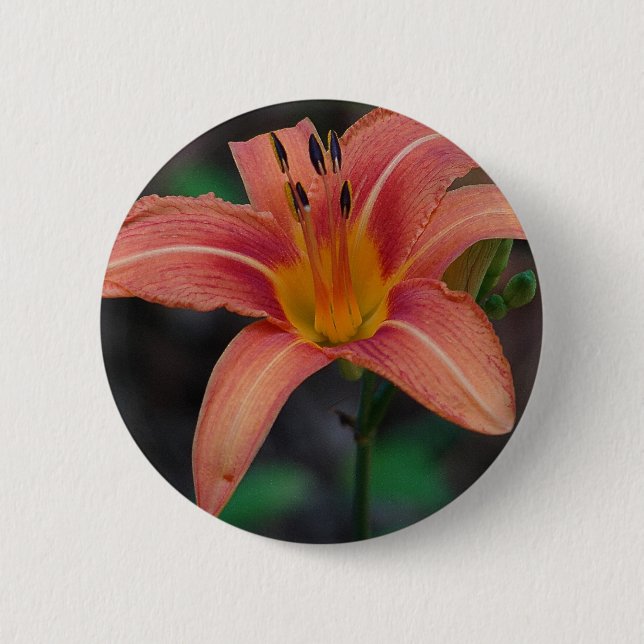 Lovely Tawny Daylily Apparel and Gifts 6 Cm Round Badge (Front)
