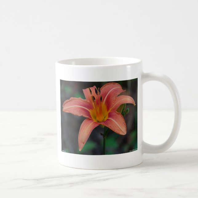Lovely Tawny Daylily Apparel and Gifts Coffee Mug (Right)