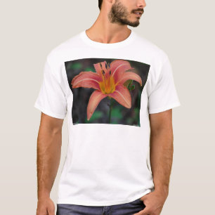 Lovely Tawny Daylily Apparel and Gifts T-Shirt