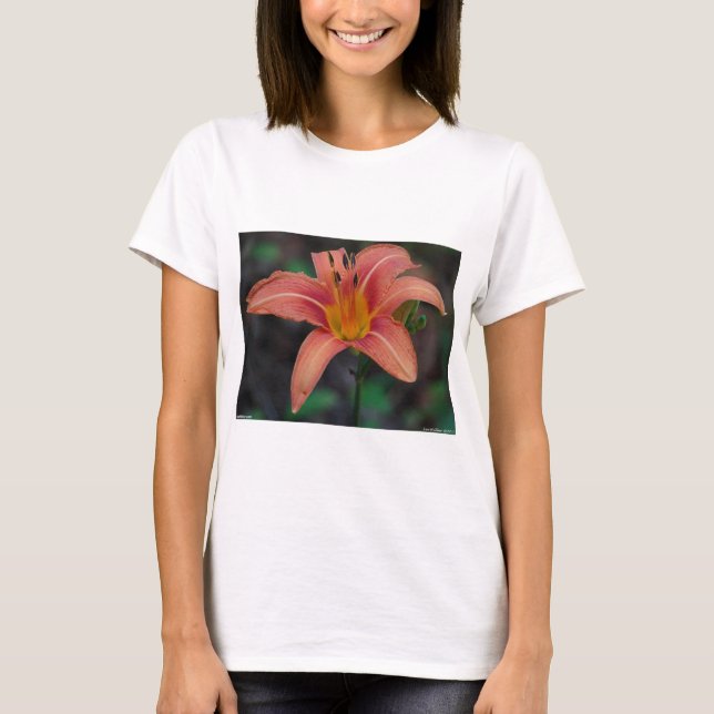 Lovely Tawny Daylily Apparel and Gifts T-Shirt (Front)