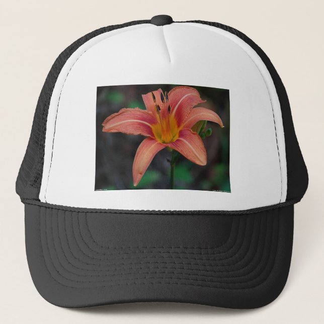Lovely Tawny Daylily Apparel and Gifts Trucker Hat (Front)