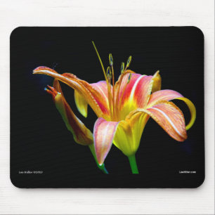 Lovely Tawny Daylily II Apparel and Gifts Mouse Mat