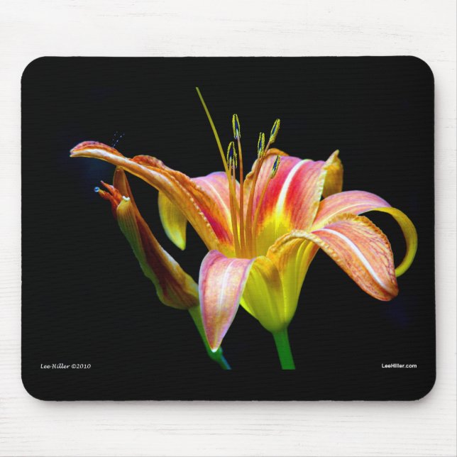 Lovely Tawny Daylily II Apparel and Gifts Mouse Mat (Front)