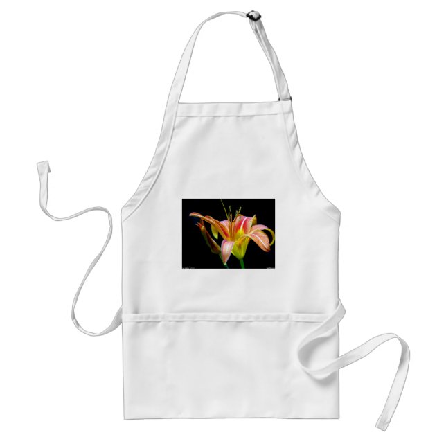 Lovely Tawny Daylily II Apparel and Gifts Standard Apron (Front)