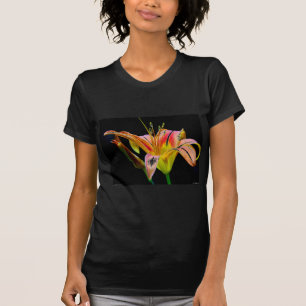 Lovely Tawny Daylily II Apparel and Gifts T-Shirt