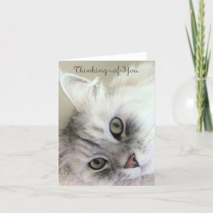 Lovely Thinking of You (Blank Note Card) Card