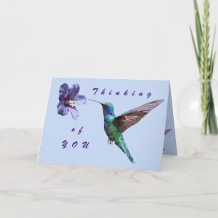 Lovely Thinking of You Hummingbird Card