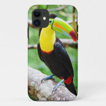 Lovely Toucan