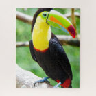 Lovely Toucan