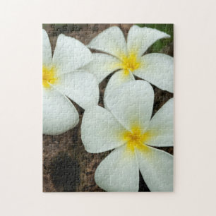 Lovely Tropical Blossoms In The South Pacific Jigsaw Puzzle