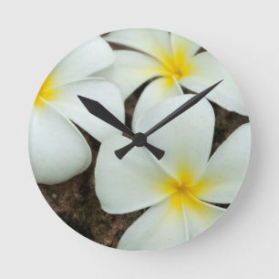 Lovely Tropical Blossoms In The South Pacific Round Clock