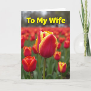 Lovely Tulip Flower Card