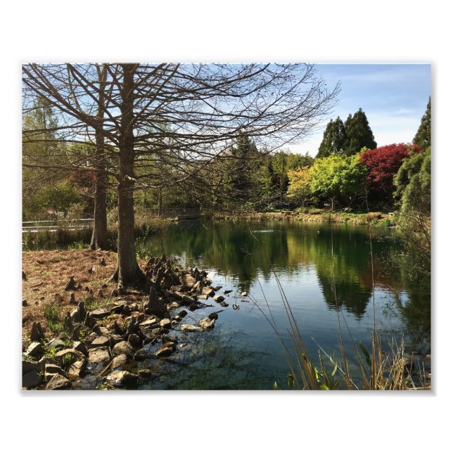 Lovely View by the lake Photo Print (Front)