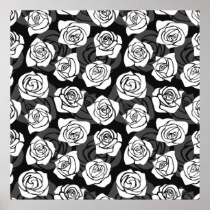 Lovely Vintage black and white roses Poster