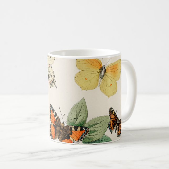 Lovely vintage illustration of butterflies coffee mug (Front Right)