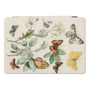 Lovely vintage illustration of butterflies iPad pro cover