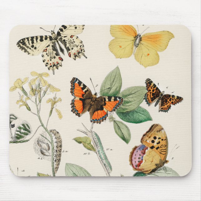 Lovely vintage illustration of butterflies mouse mat (Front)