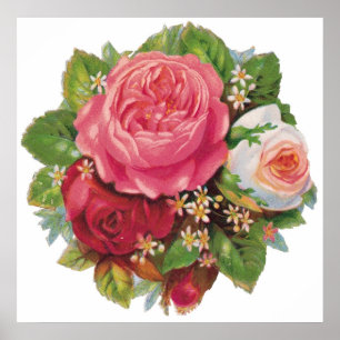 Lovely Vintage Roses Poster