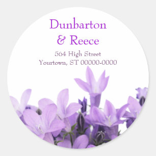 Lovely Violets Stickers