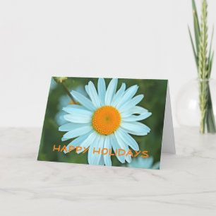 Lovely white daisy flower  happy holidays holiday card