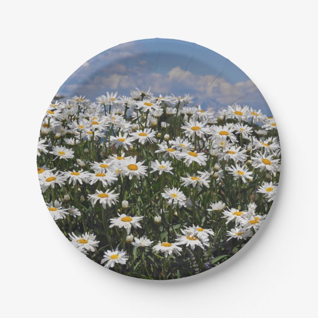 Lovely white daisy garden paper plate (Front)
