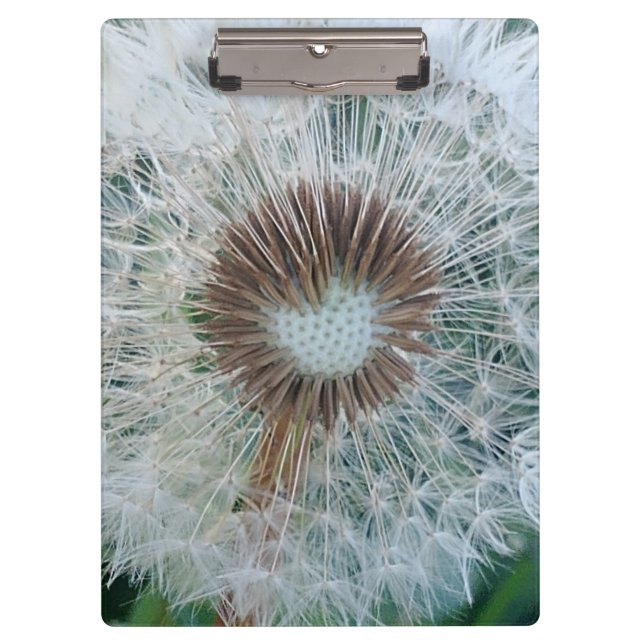 Lovely White Dandelion Clipboard (Front)
