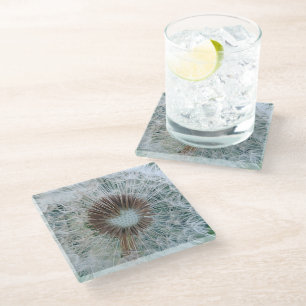 Lovely White Dandelion Glass Coaster