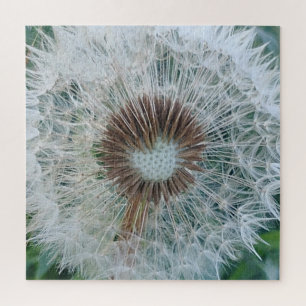 Lovely White Dandelion Jigsaw Puzzle