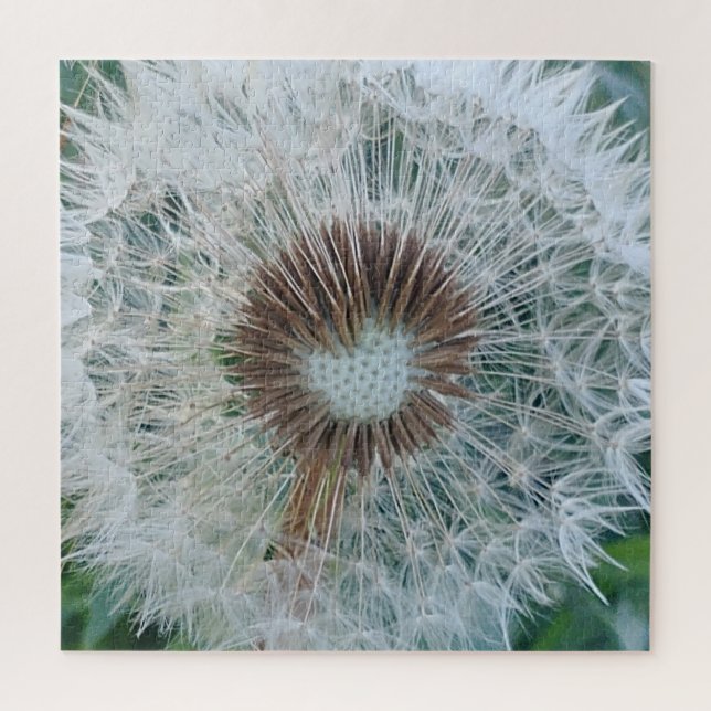 Lovely White Dandelion Jigsaw Puzzle (Vertical)