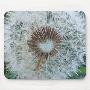 Lovely White Dandelion Mouse Mat