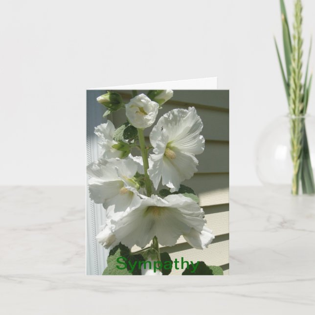 Lovely White Hollyhocks, Sympathy Card (Front)