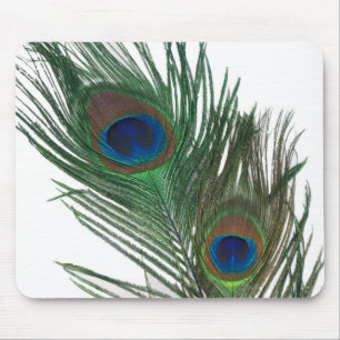 Lovely White Peacock Feather Mouse Pad