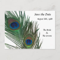 Lovely White Peacock Save the Date