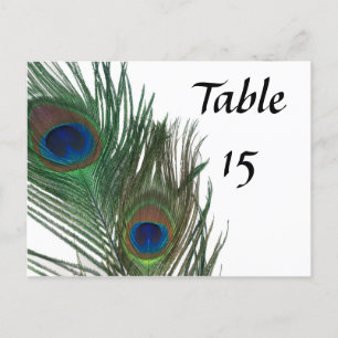 Lovely White Peacock Wedding Table Numbers Postcard