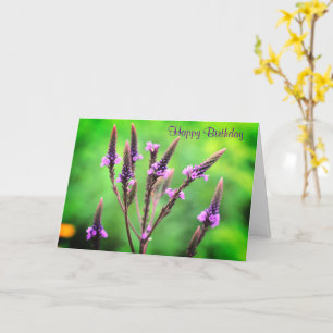 Lovely Wild Vervain Flower Birthday  Card