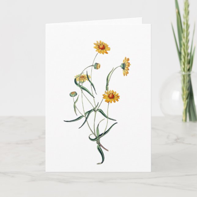 Lovely Yellow Daisies Wild Flowers Card (Front)