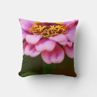 Lovely Zinnia Cushion