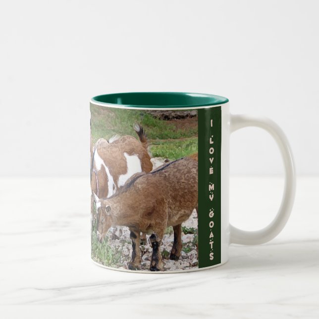 LoveMyGoats-mug Two-Tone Coffee Mug (Right)