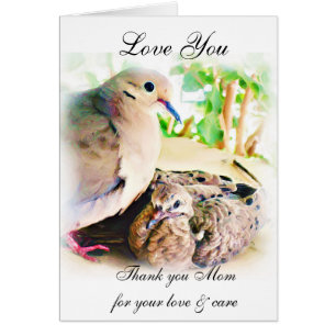 Lover of Soves_