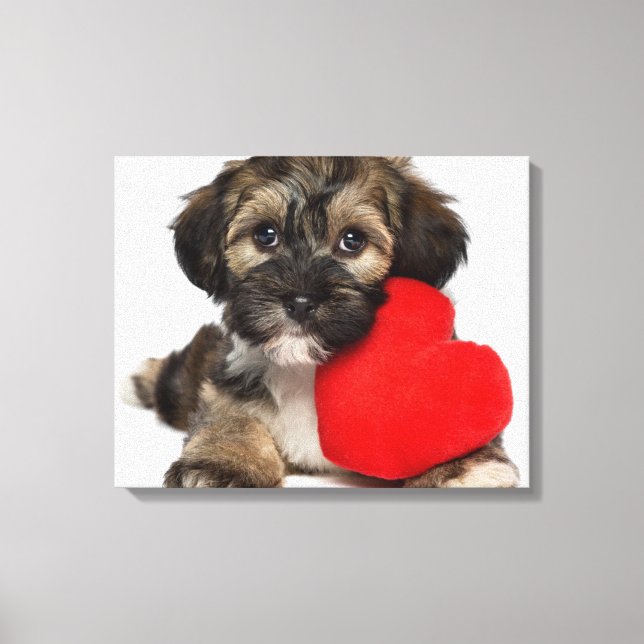 Lover Valentine Havanese Puppy Dog Canvas Print (Front)