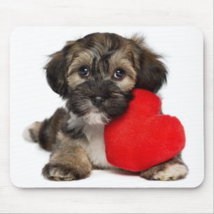 Lover Valentine Havanese Puppy Dog Mouse Mat