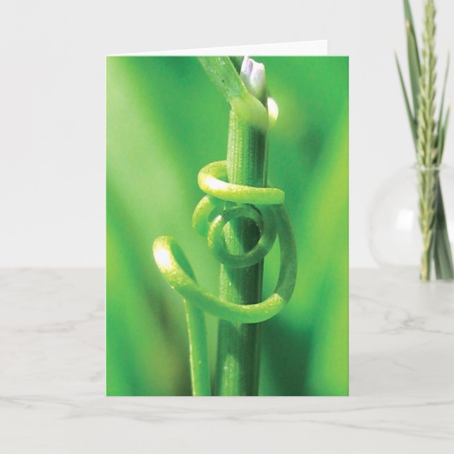 Lover's Embrace, Twisted Tendril Vine, I Miss You Card (Front)