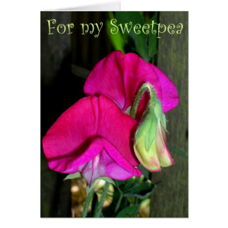 Lovers sweetpea card